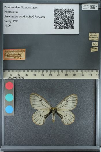 Media type: image;   Entomology 179975